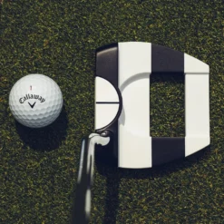 Ai-DUAL Jailbird 1/2 Ball Cruiser DB Putter