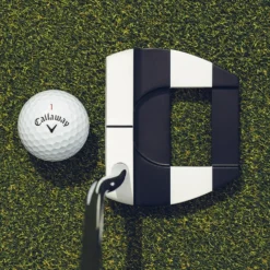 Ai-DUAL Jailbird Mini DB Putter