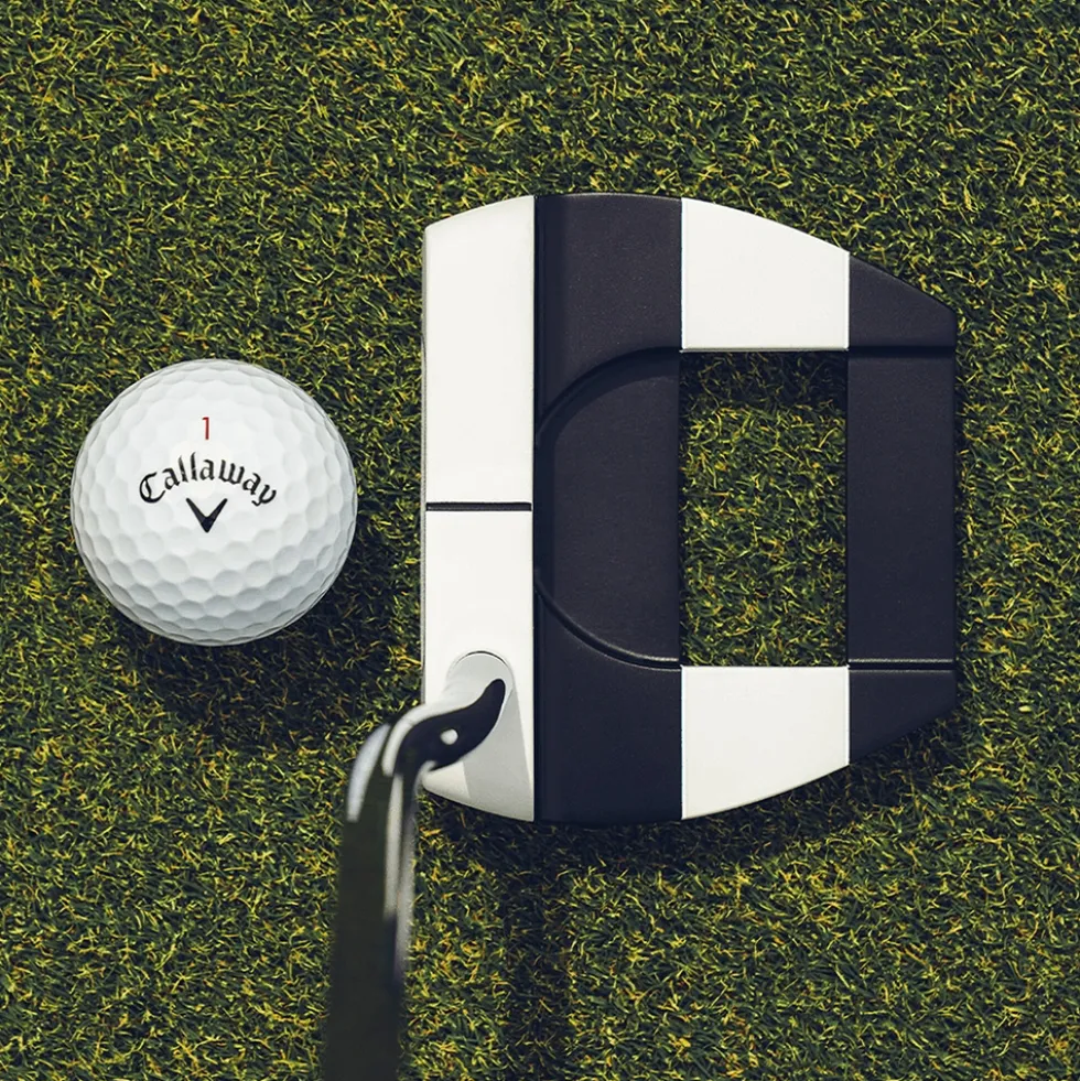 Ai-DUAL Jailbird Mini DB Putter