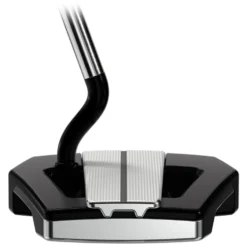 Allan Putter