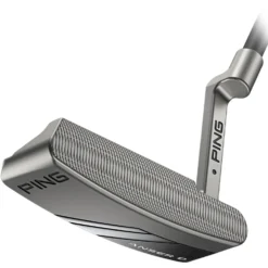 Anser D Putter