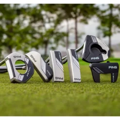 Anser D Putter