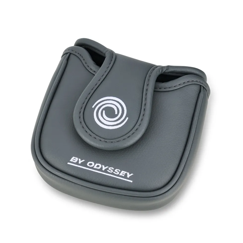 DFX Ten S Putter