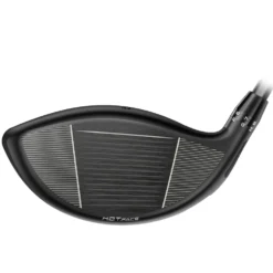 DS-Adapt X Driver