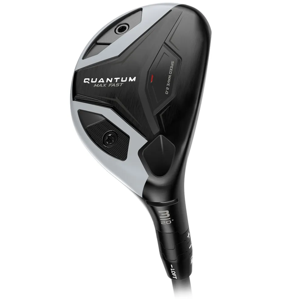 Quantum Max Fast Hybrid Dame