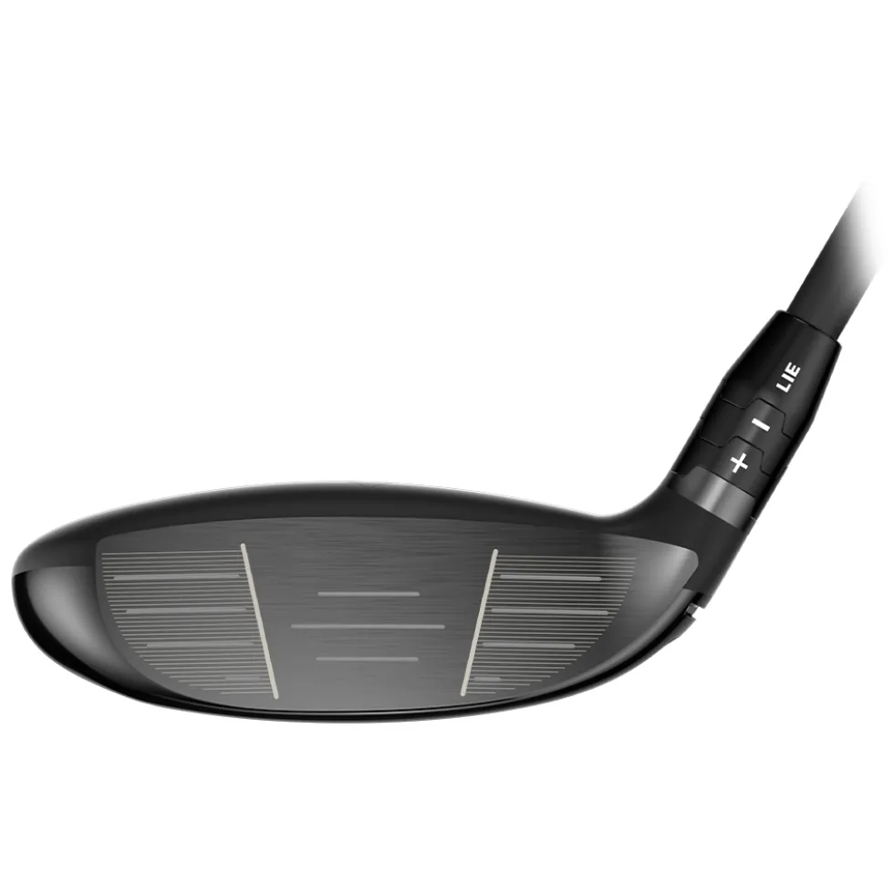 Quantum Max Fast Wood Dame