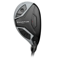 Quantum Max Hybrid