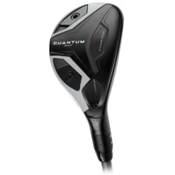 Quantum Max Hybrid Dame