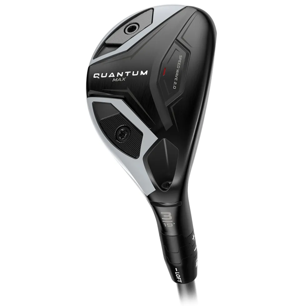 Quantum Max Hybrid Dame