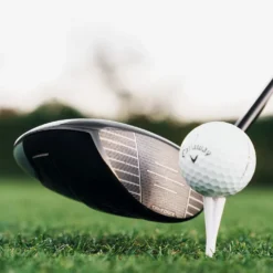 Quantum Mini Driver