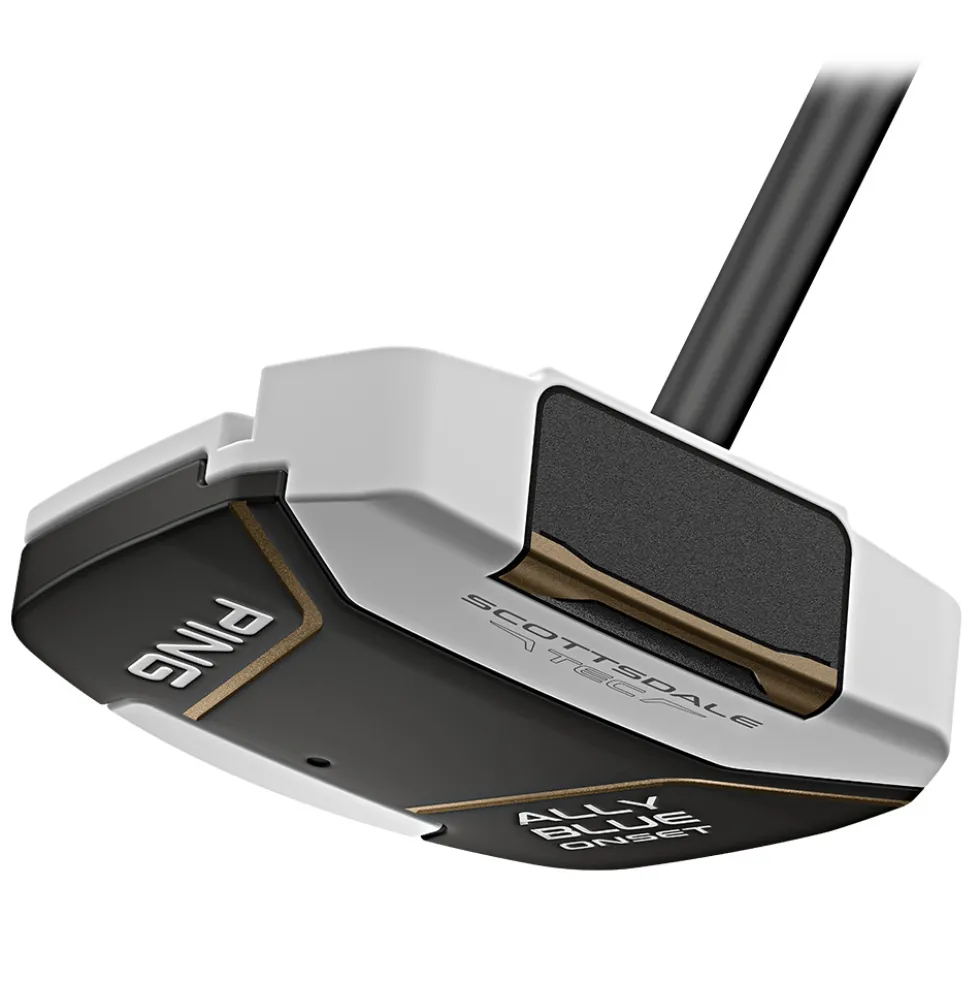 Scottsdale TEC Ally Blue CB Putter